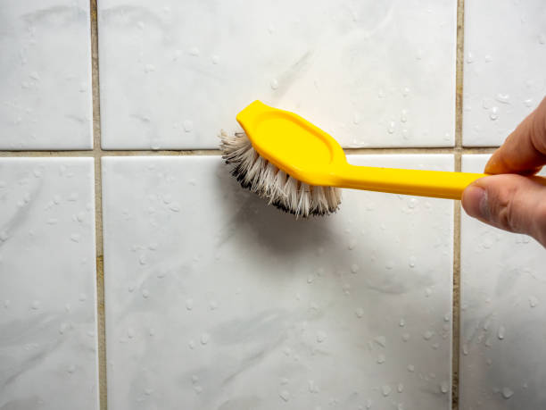 Best Mold Removal Near Me  in Hawthorne, NV