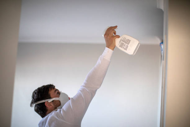 Trusted Hawthorne, NV Mold Removal Experts