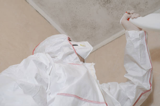 Best Emergency Mold Removal  in Hawthorne, NV