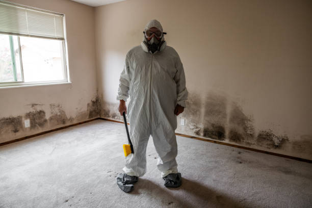 Best Professional Mold Removal  in Hawthorne, NV